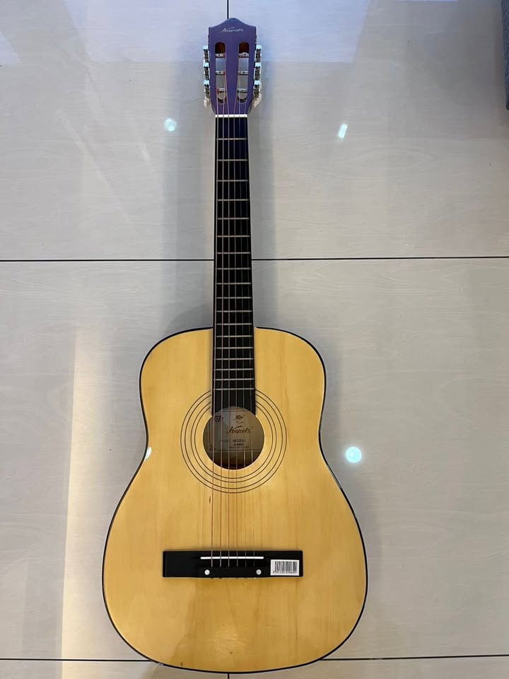 Kapok Acoustic Guitar MG010