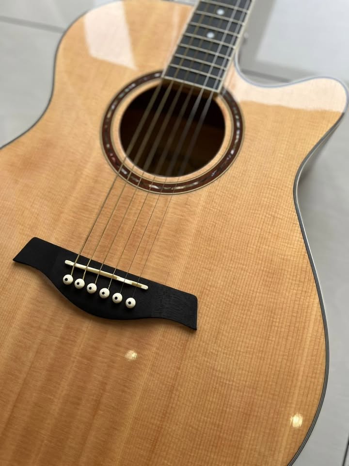 A&K Acoustic Guitar AK-220C G