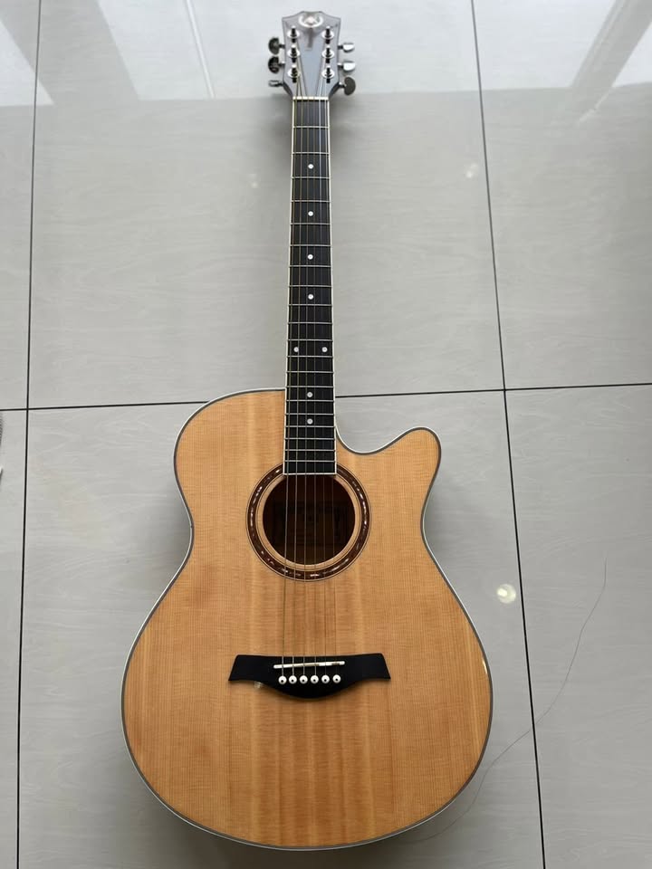 A&K Acoustic Guitar AK-220C G