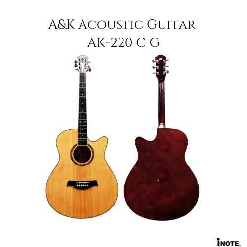 A&K Acoustic Guitar AK-220C G