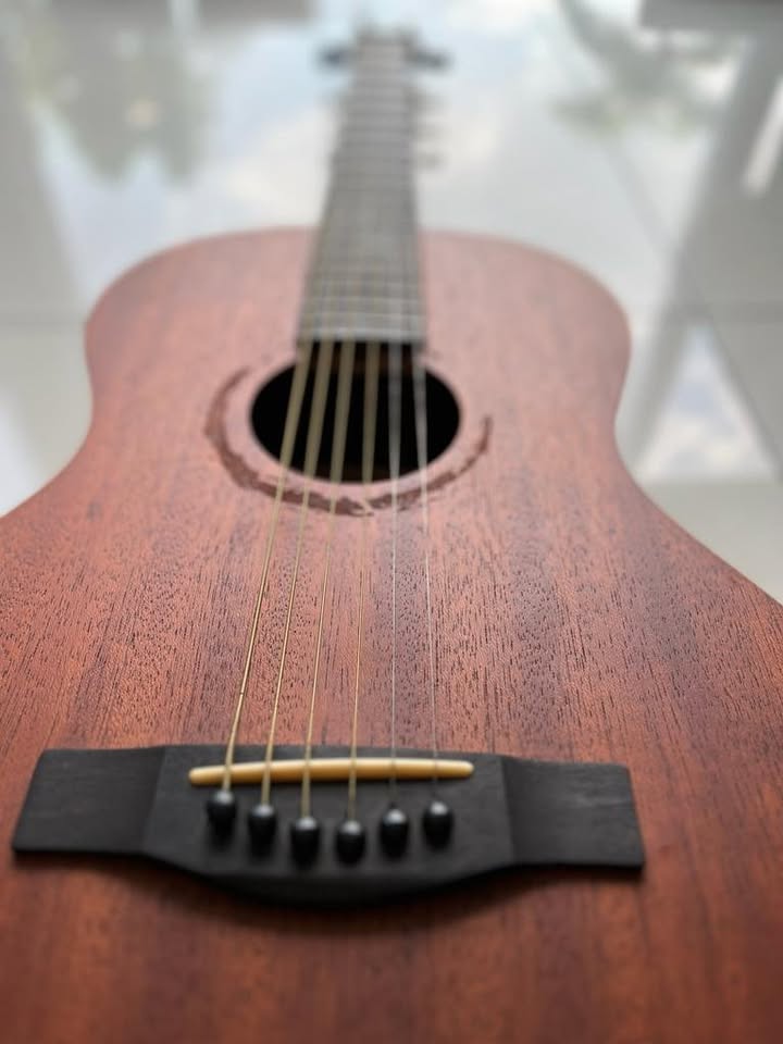 L. Luthier Guitars GA13M Acoustic Guitar Display Unit