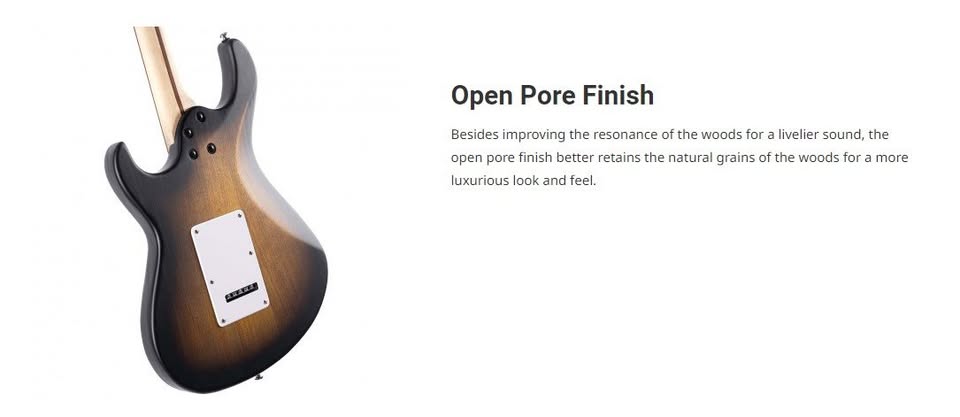 Cort G110 G Series Guitar Open Pore Sunburst Display Unit