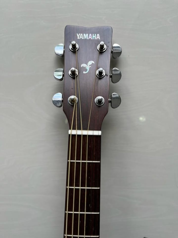 Yamaha Acoustic Guitar FG700MS Display Unit