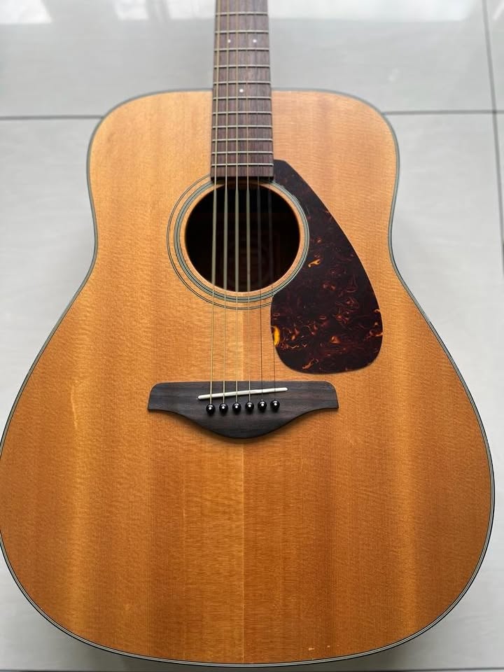 Yamaha Acoustic Guitar FG700MS Display Unit