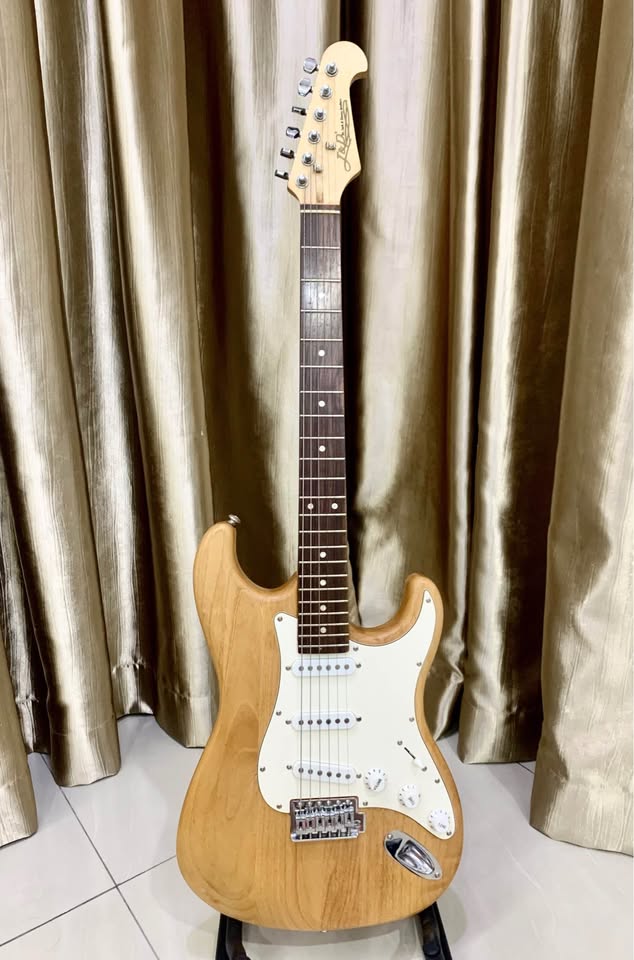 J&D Brothers Electric Guitar