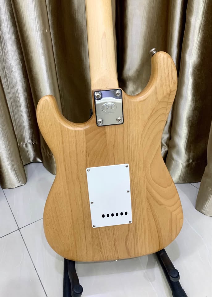 J&D Brothers Electric Guitar