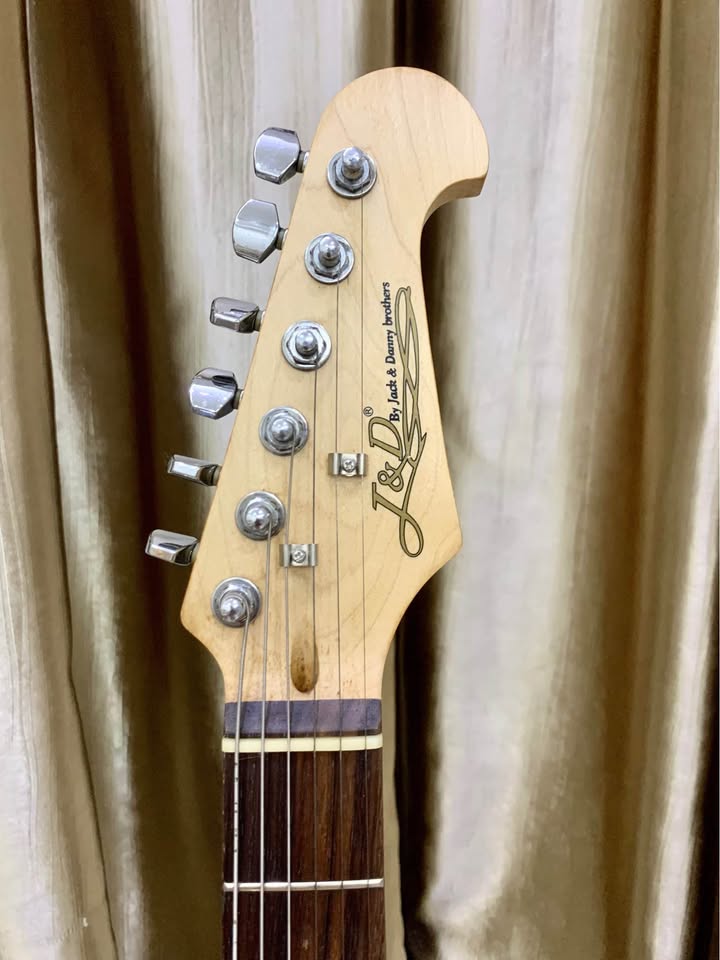 J&D Brothers Electric Guitar