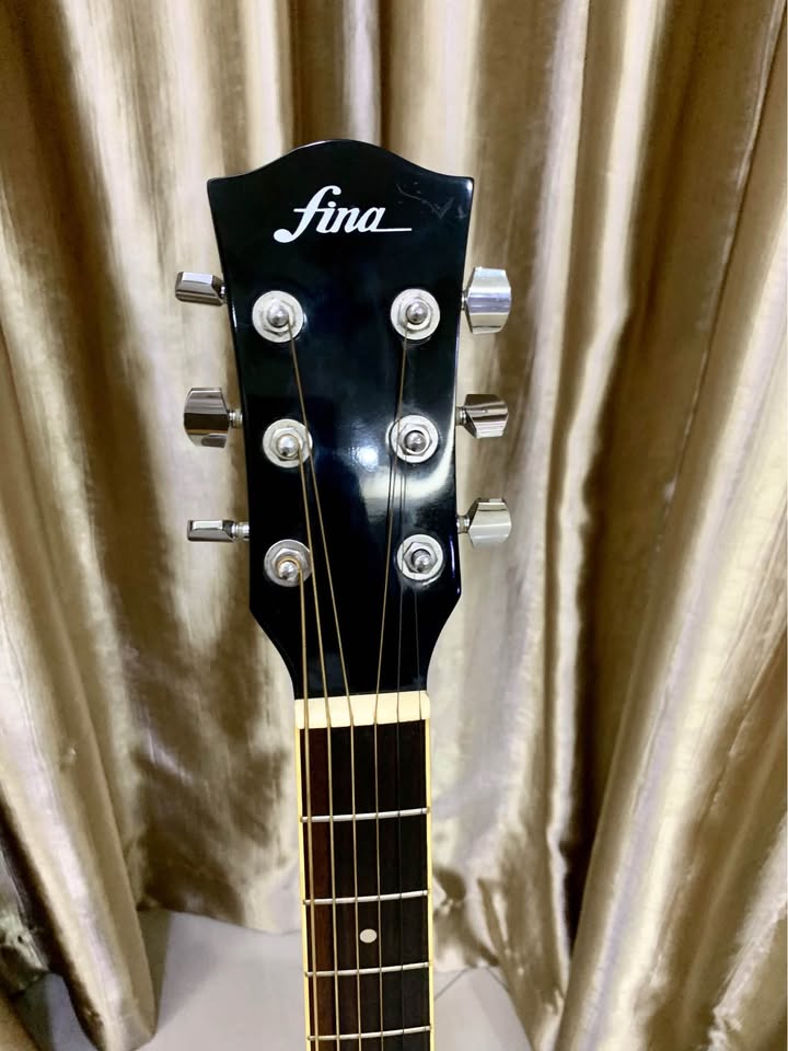 Fina FAW802 Acoustic Guitar