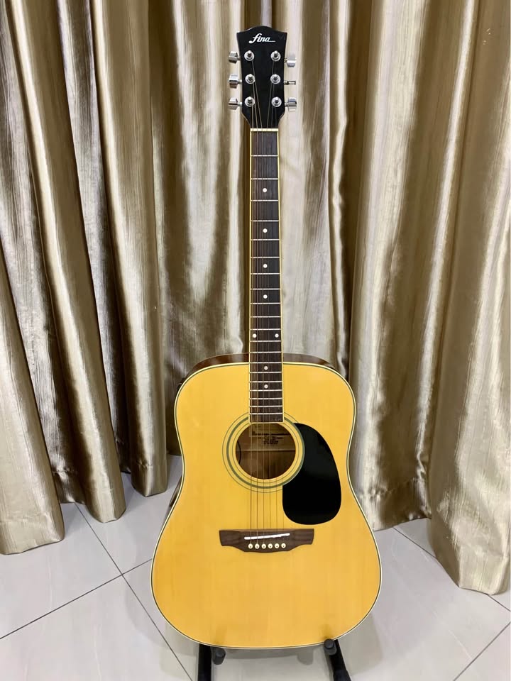 Fina FAW802 Acoustic Guitar