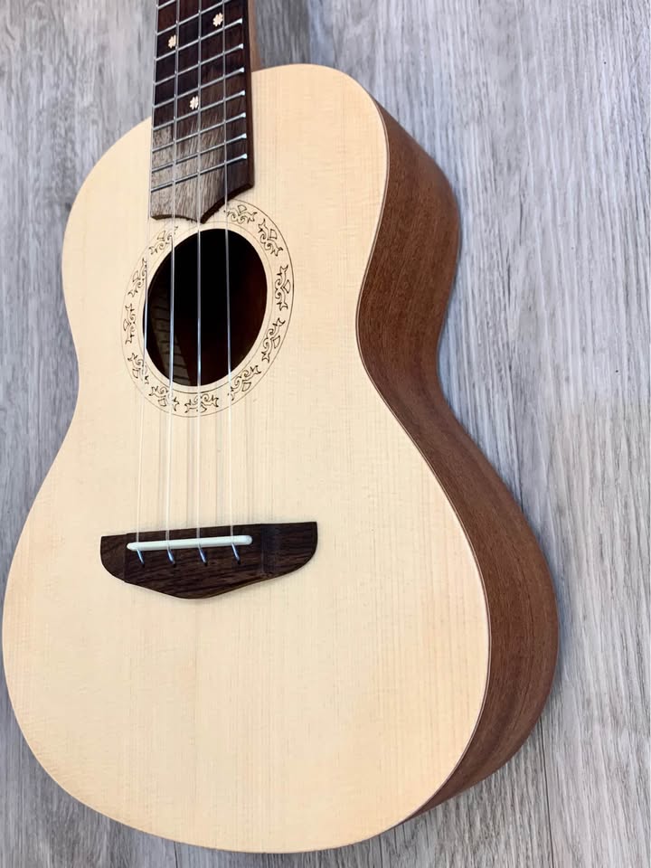 Caleida Concert Ukulele Model