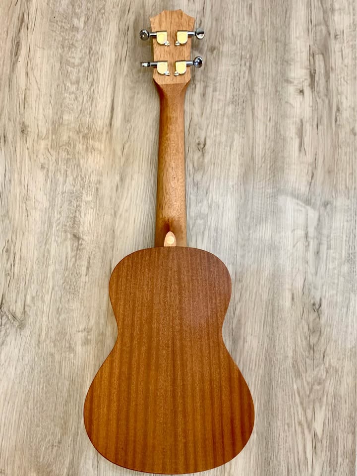 Caleida Concert Ukulele Model