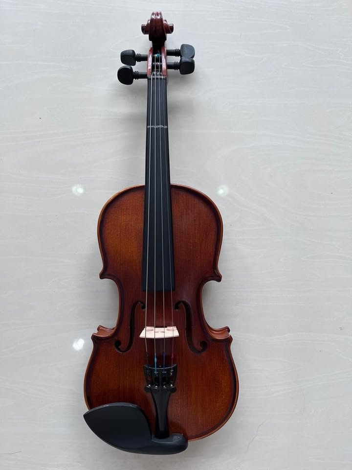 Vivace 100 Violin 1/8 size include Bow, Case & Rosin