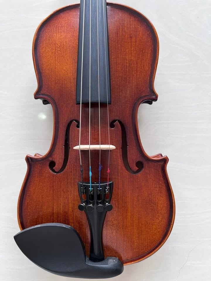 Vivace 100 Violin 1/8 size include Bow, Case & Rosin