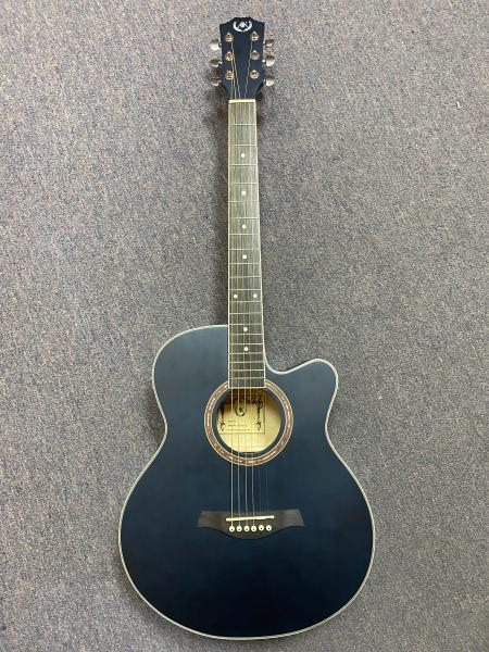 A&K Acoustic Guitar AK-220 C (BL)