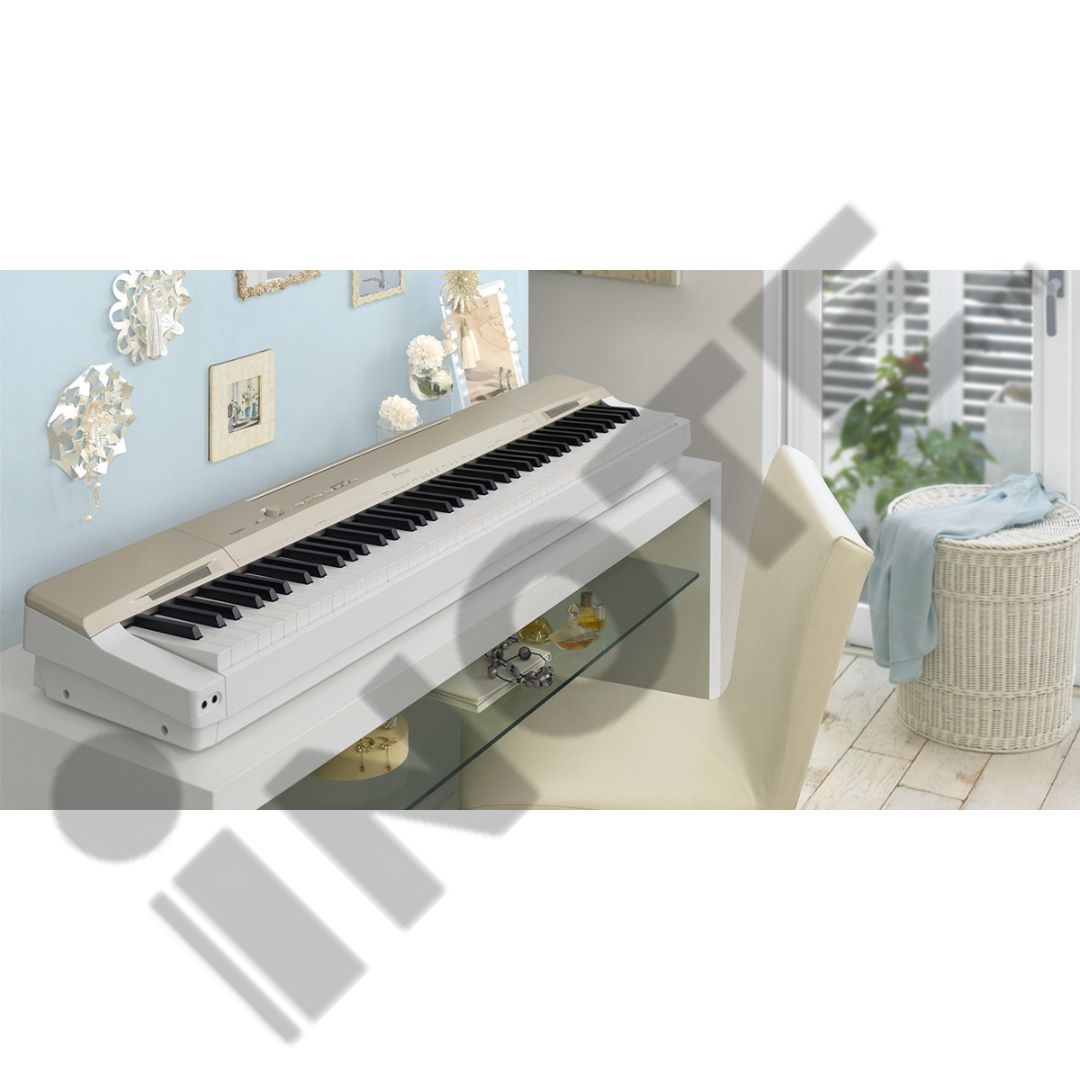Casio Digital Keyboard Piano Privia PX-160 CG Champagne Gold Past Model Display Unit Like New