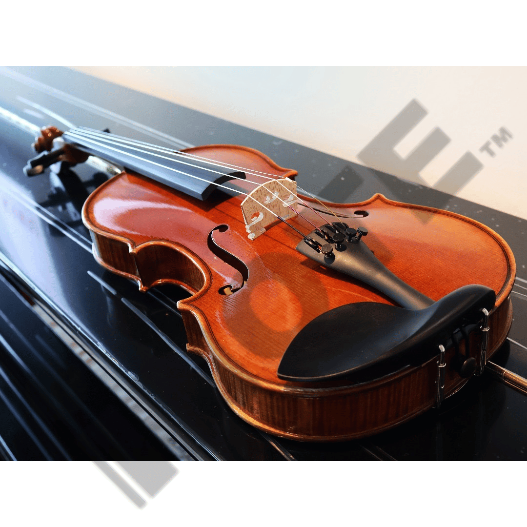 Eurostring Violin Model 400 Orchestra Concert Violin 4/4 Full Size