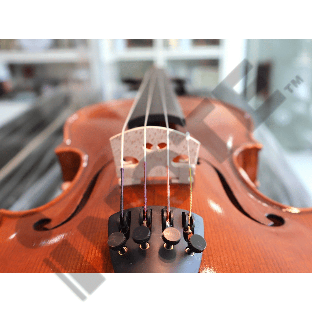 Eurostring Violin Model 400 Orchestra Concert Violin 4/4 Full Size