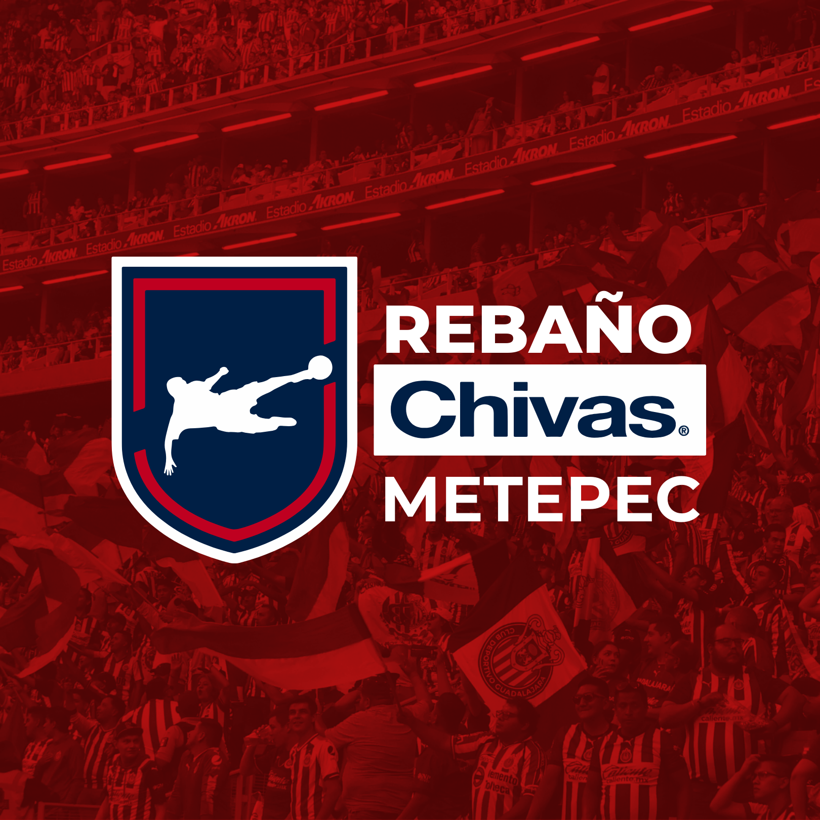 Academia Rebaño Chivas Metepec
