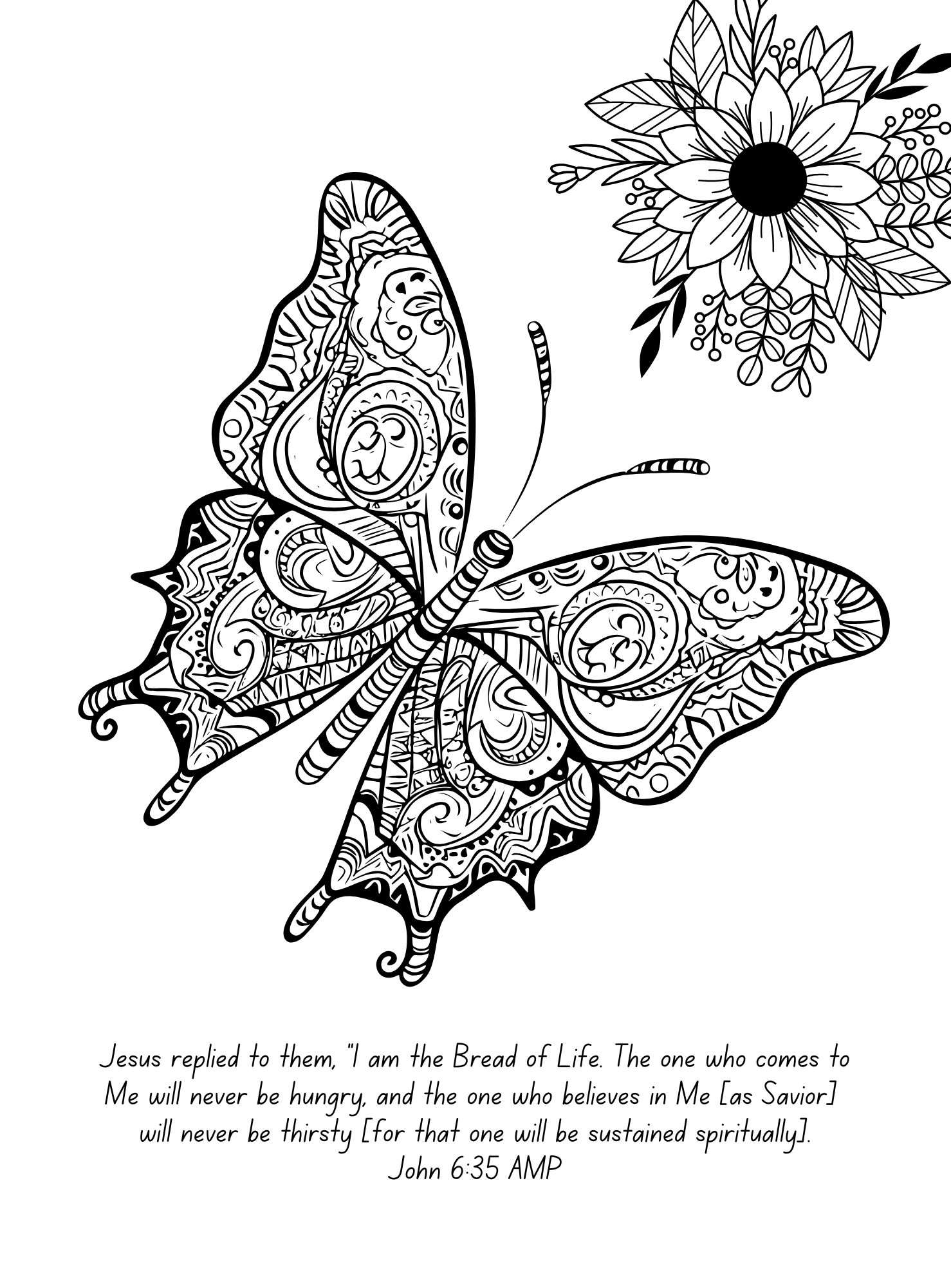 Butterfly Coloring Books For Pre-Teens & Adults