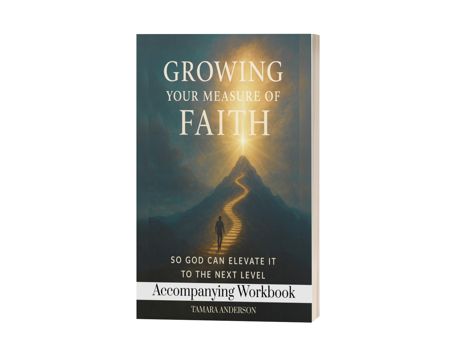 Growing Your Measure Of Faith Accompanying Workbook