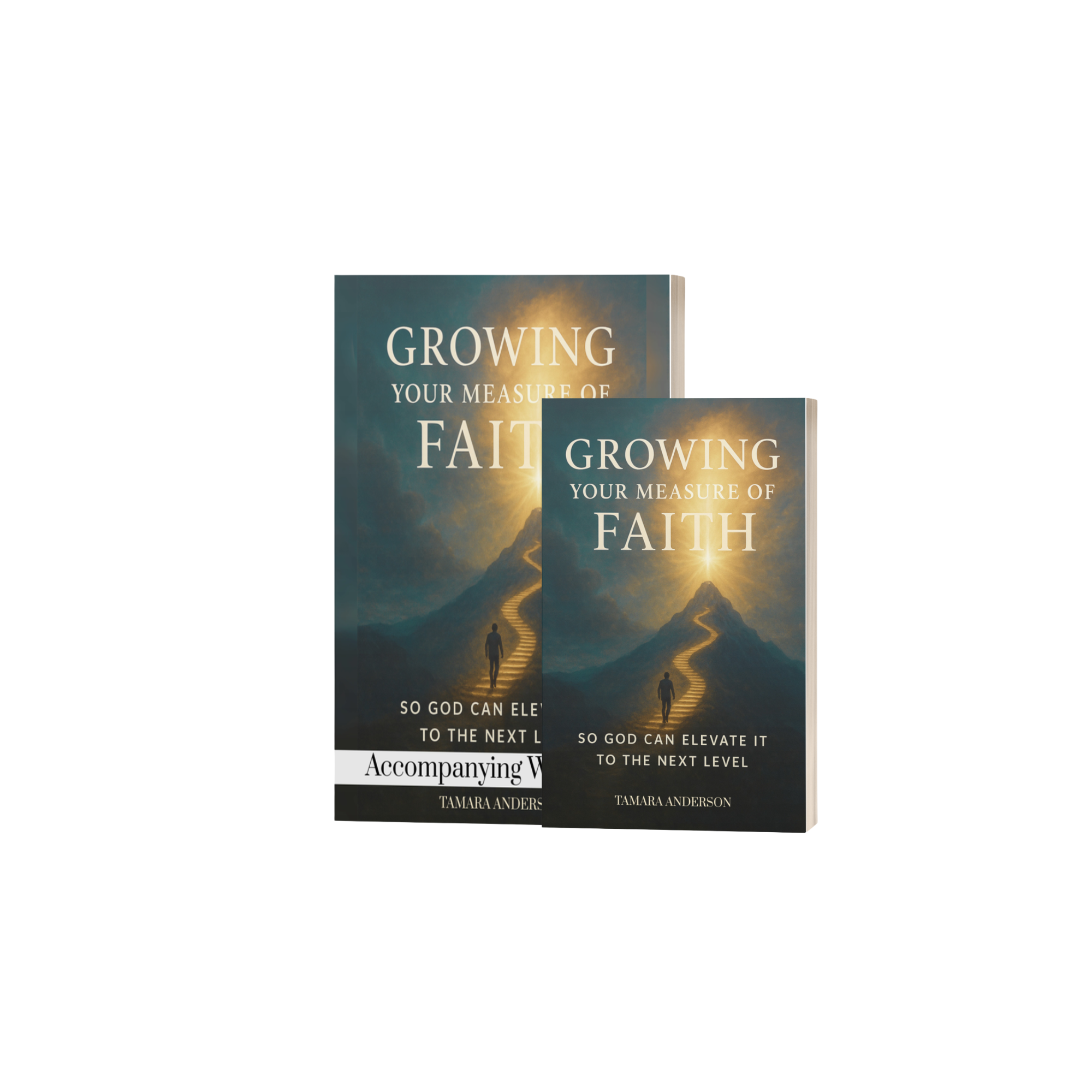 Growing Your Measure Of Faith Book/Workbook Set