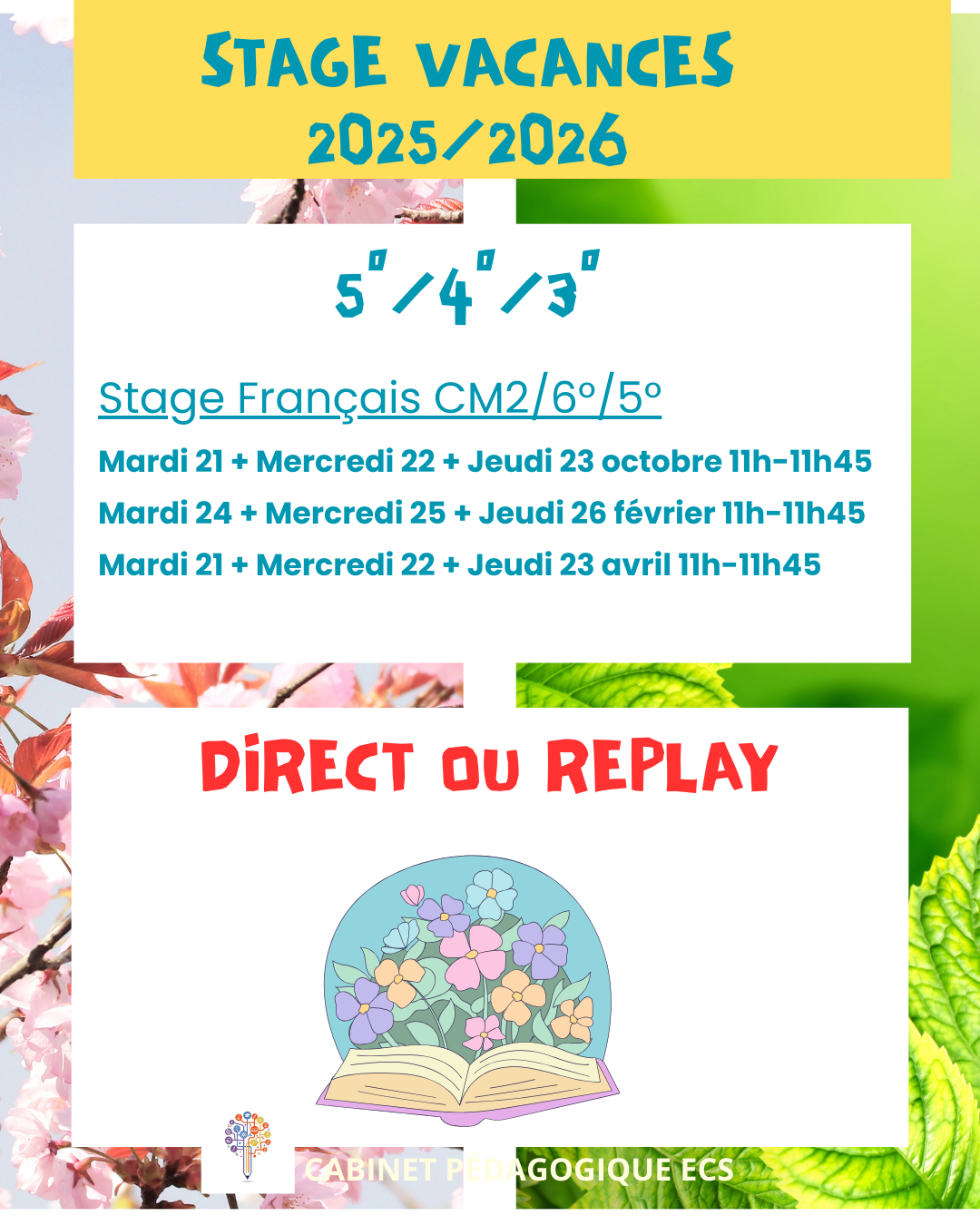 Stage COLLÈGE (5°/4°/3°) - Français - Vacances 2025/2026