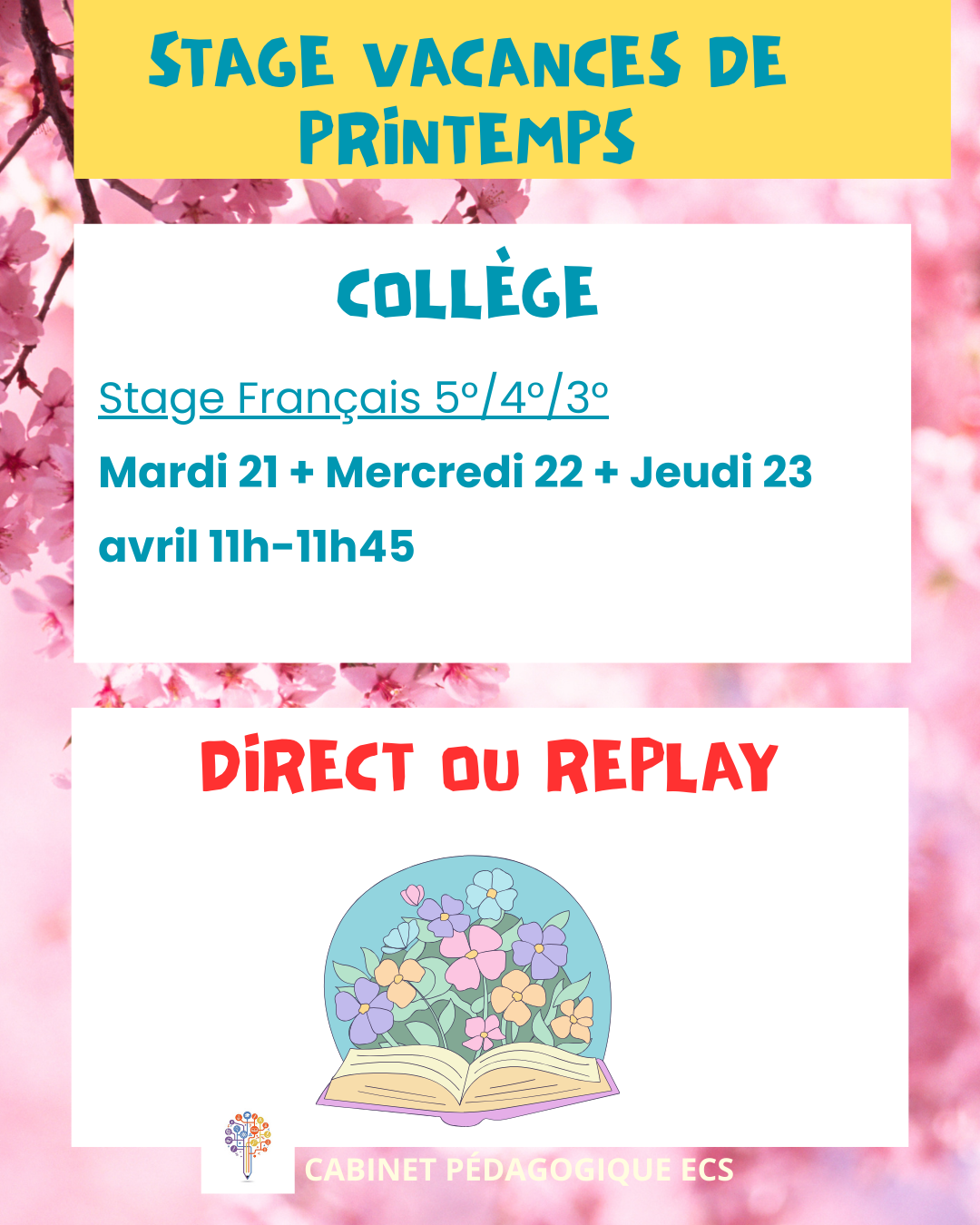 Stage COLLÈGE (5°/4°/3°) - Français - Vacances 2025/2026