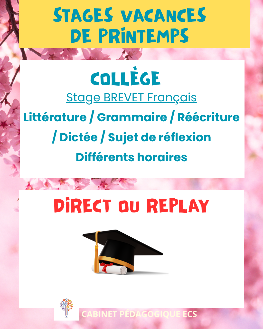 Stage COLLÈGE - Brevet Français - Vacances 2026/2025