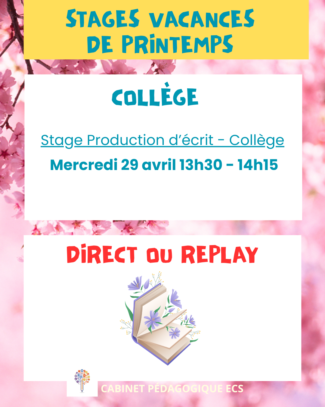 Stage COLLÈGE (6°/5°/4°/3°) - Production d'écrit 