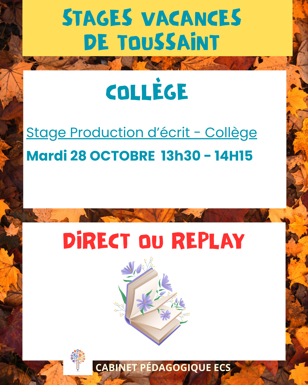 Stage COLLÈGE (6°/5°/4°/3°) - Production d'écrit 
