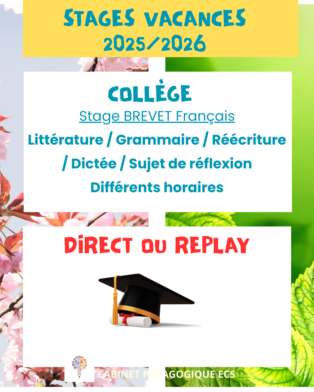 Stage COLLÈGE - Brevet Français - Vacances 2026/2025