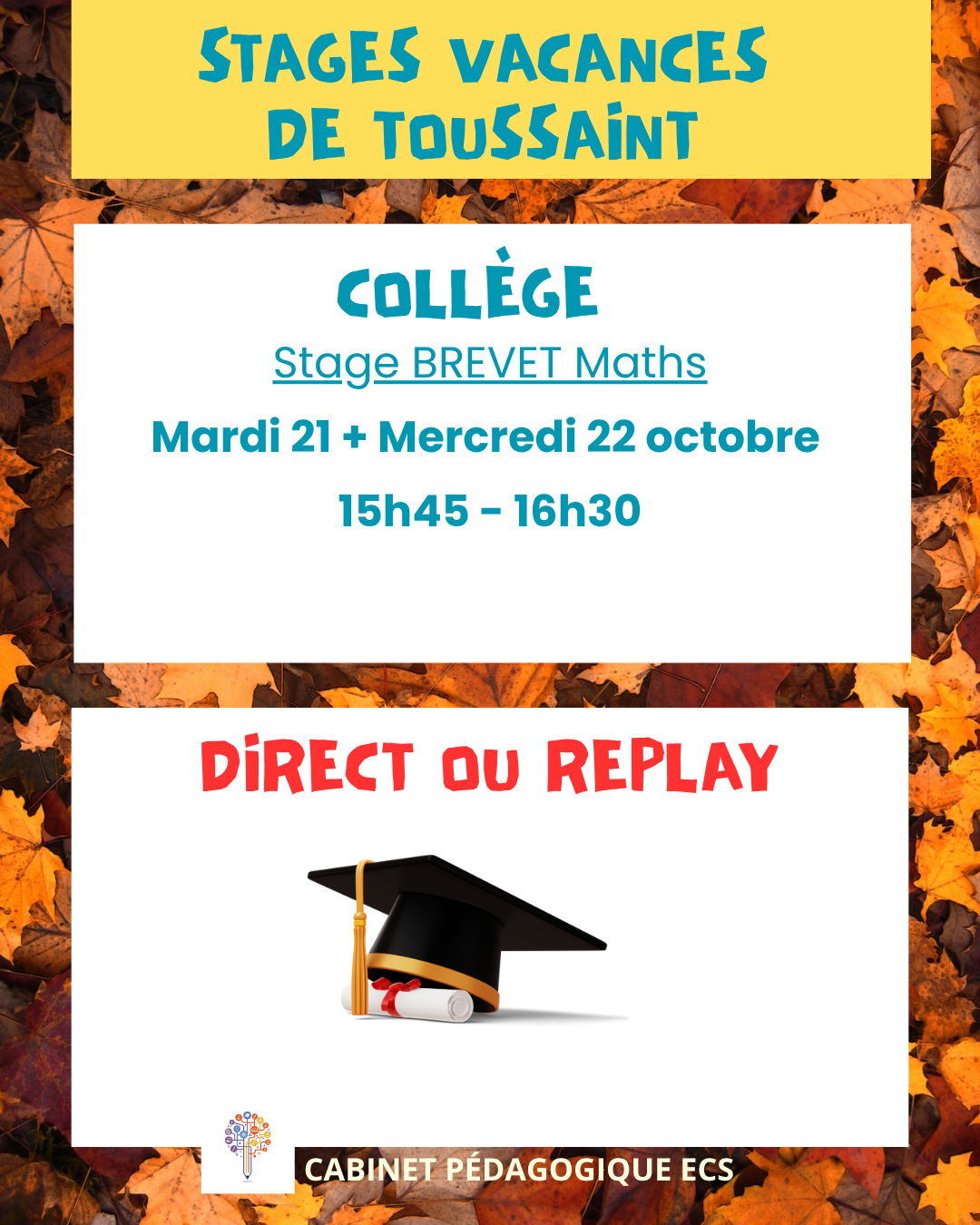 Stage COLLÈGE - Brevet Maths - Vacances 2026/2025