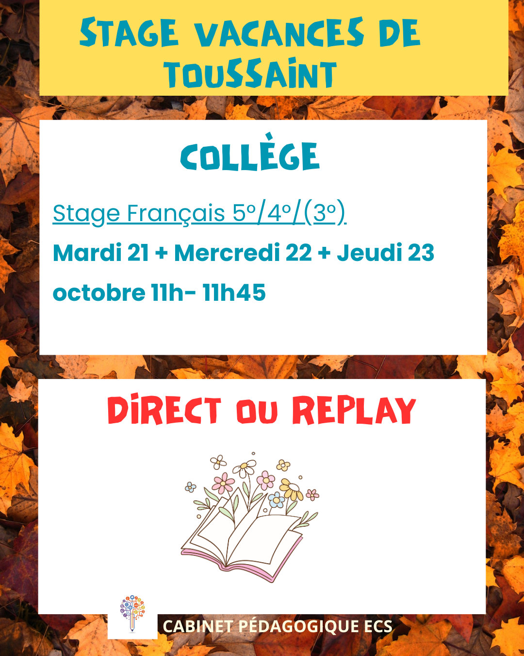 Stage COLLÈGE (5°/4°/3°) - Français - Vacances 2025/2026