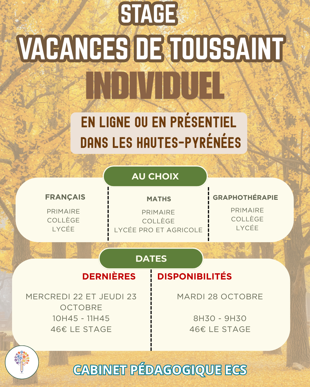 Stage INDIVIDUEL (en ligne)- FRANÇAIS ou MATHS ou GRAPHOTHÉRAPIE  - DERNIÈRES DISPONIBILITÉS