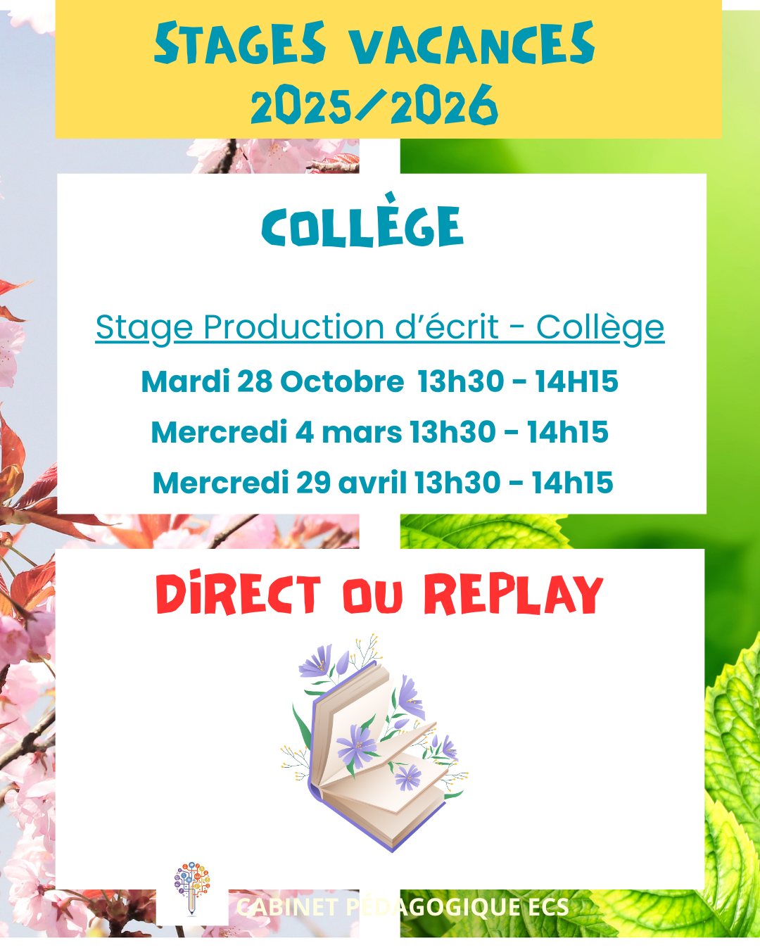 Stage COLLÈGE (6°/5°/4°/3°) - Production d'écrit