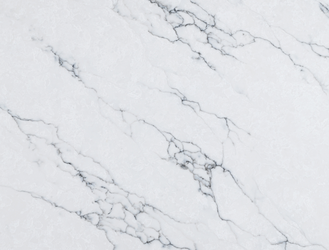 TP6608 (Calcutta Cloud)