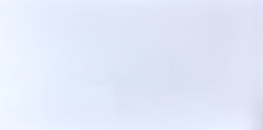 TP1001 (Snowy White)