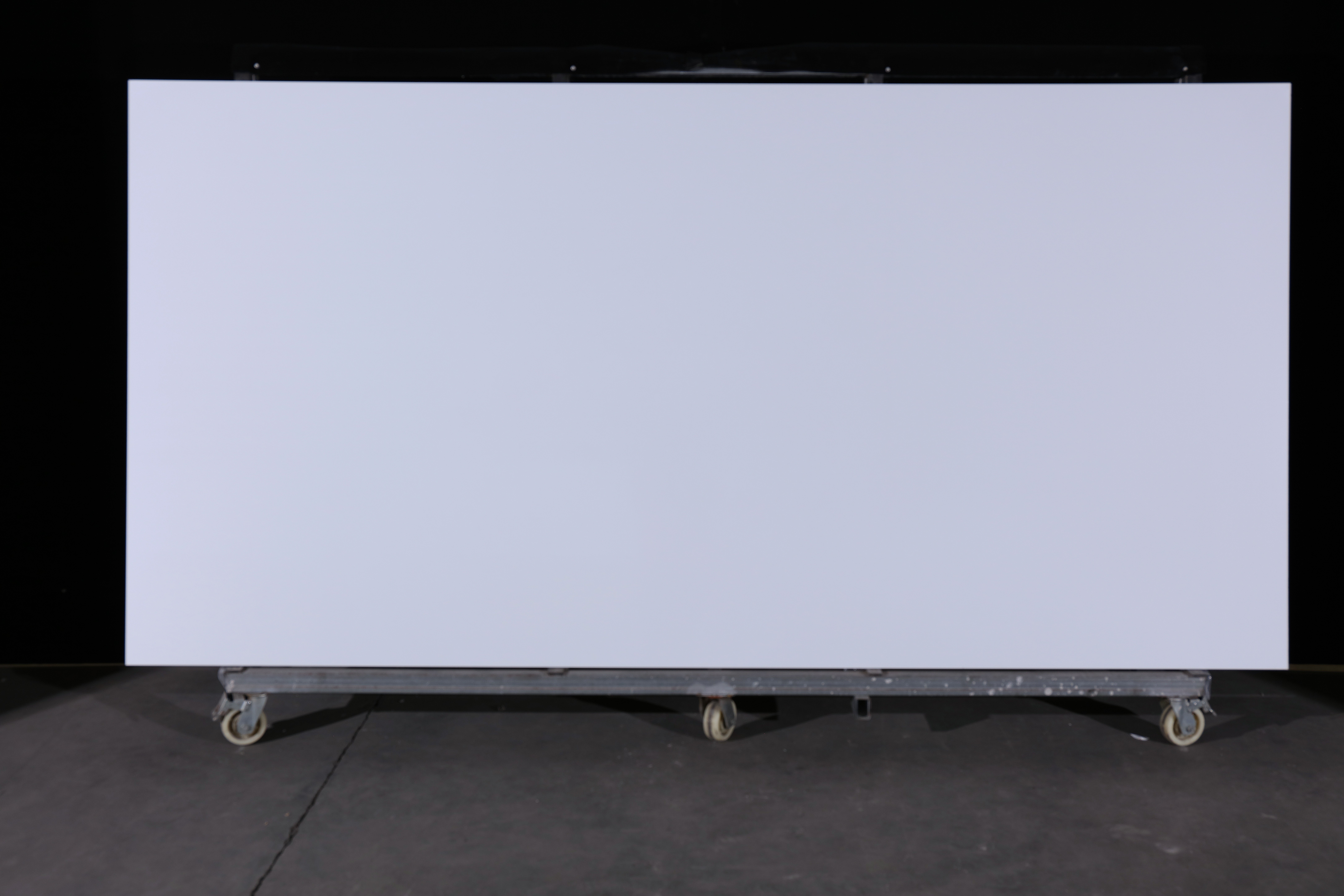 TP1001 (Snowy White)