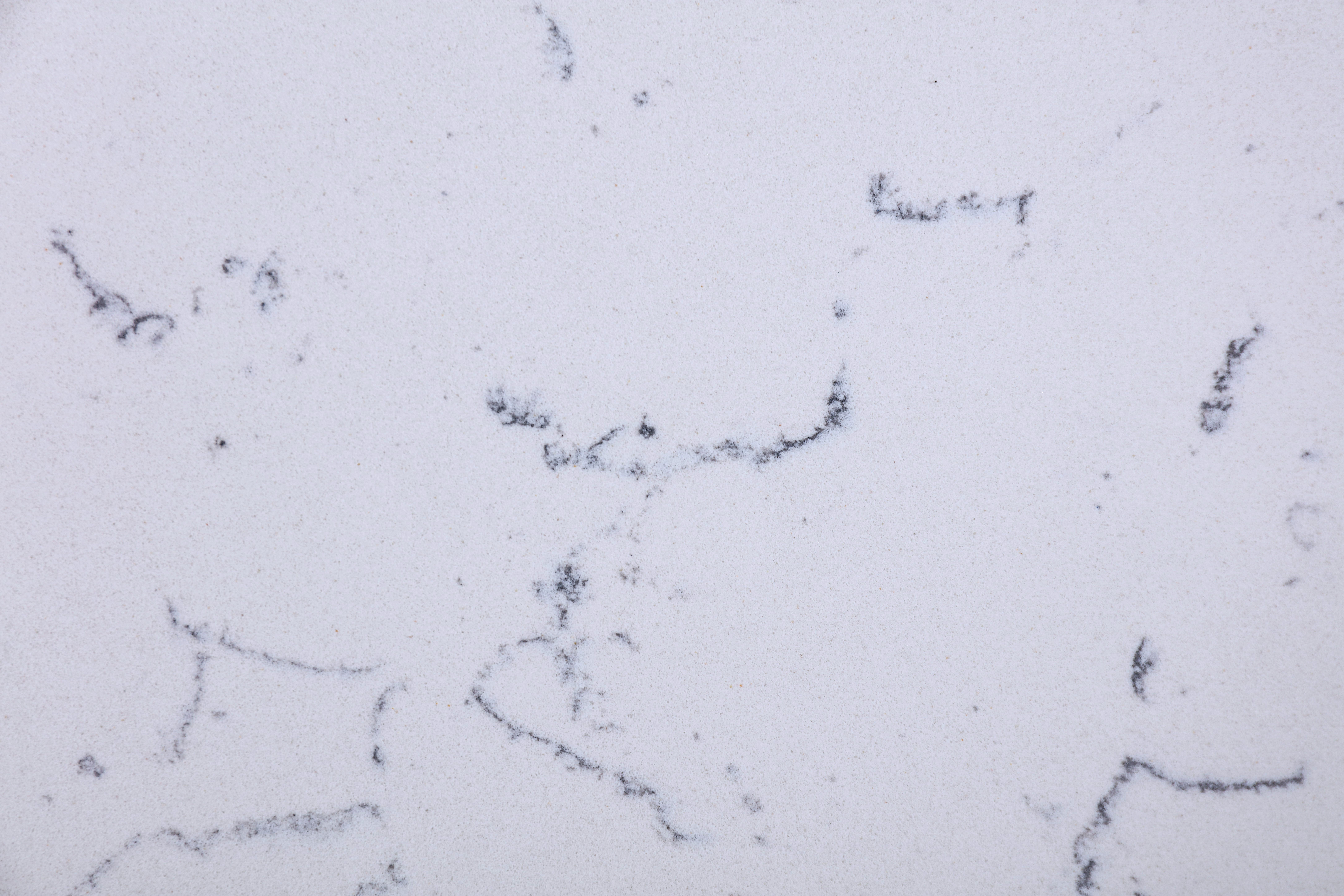 TP289 (Moonstone Mist)