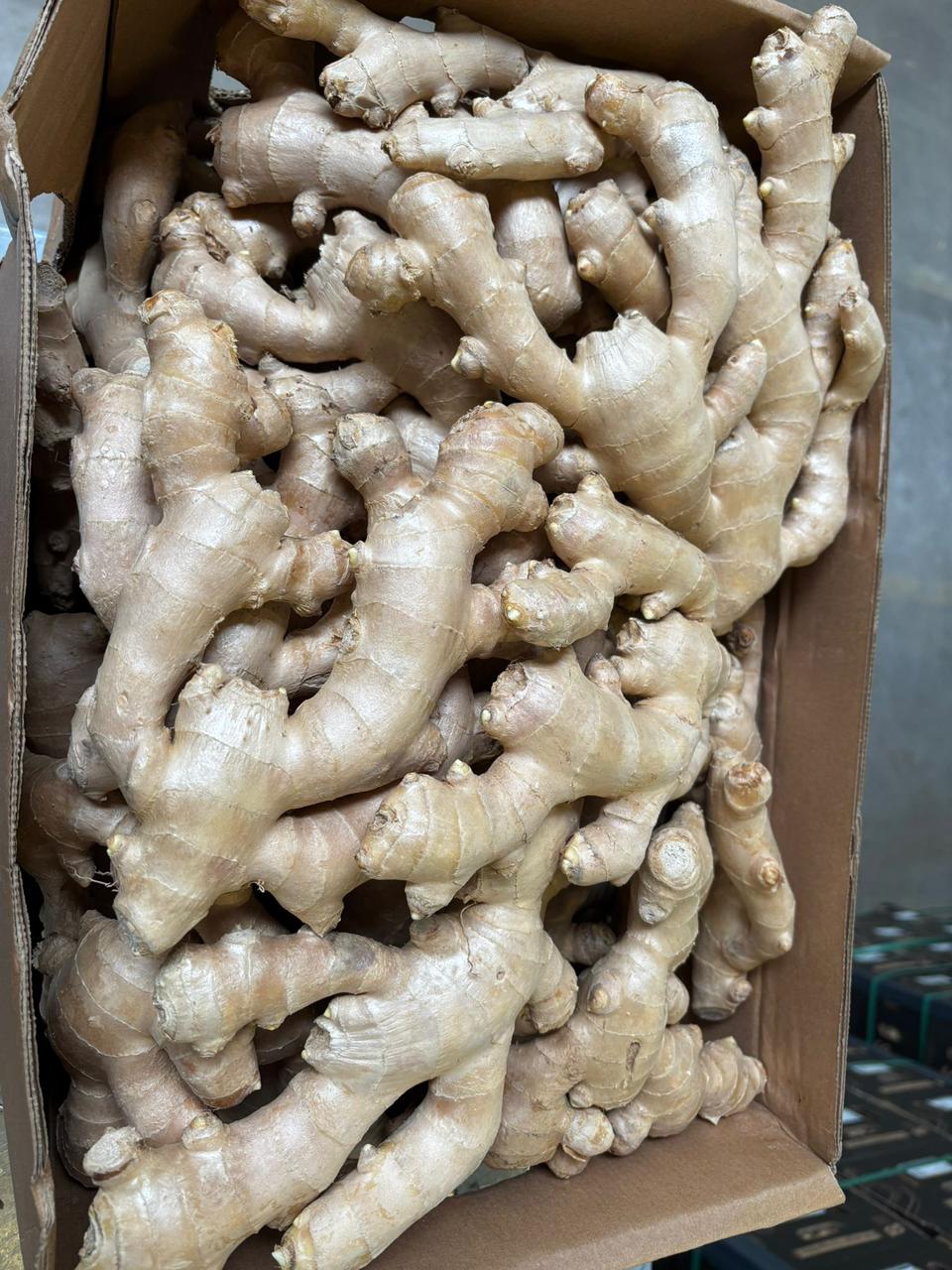 Ginger