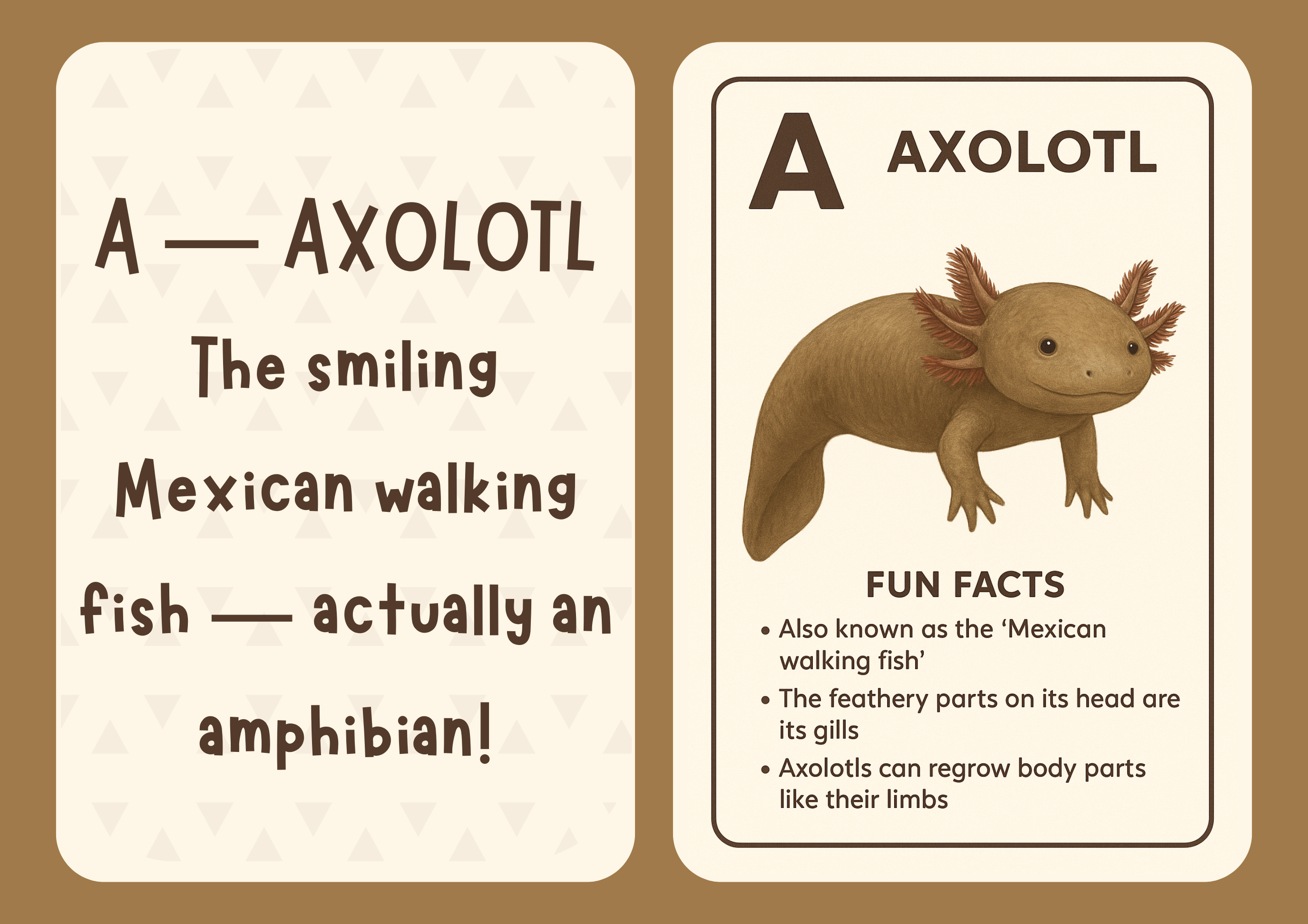 A–Z Unusual Animal Alphabet Flashcards for Kids | Digital Printable