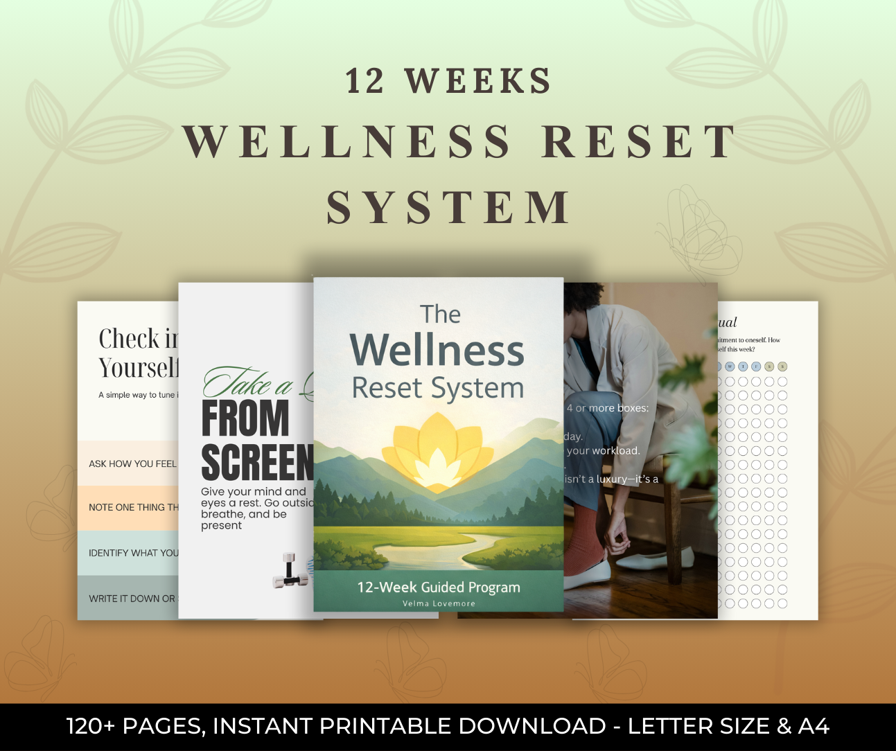 THE WELLNESS RESET SYSTEM