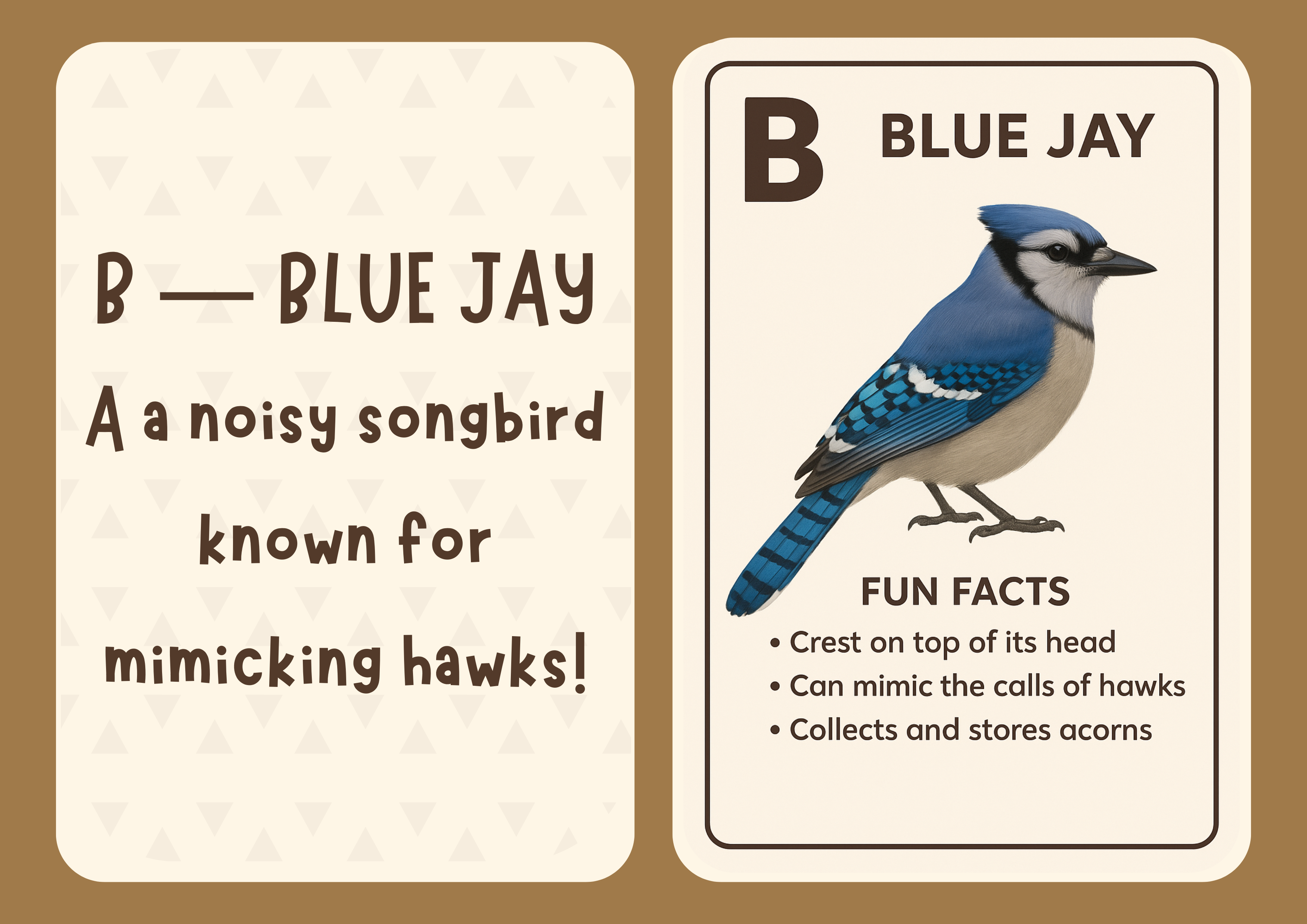 A–Z Unusual Animal Alphabet Flashcards for Kids | Digital Printable