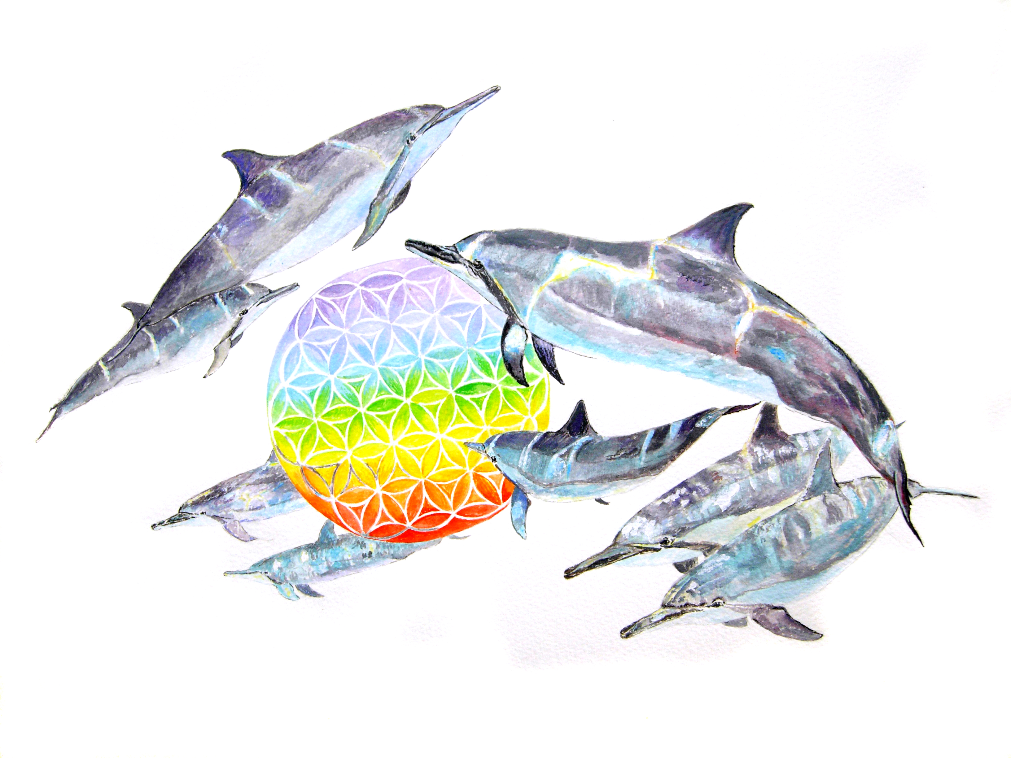 Dolphins with flower of life