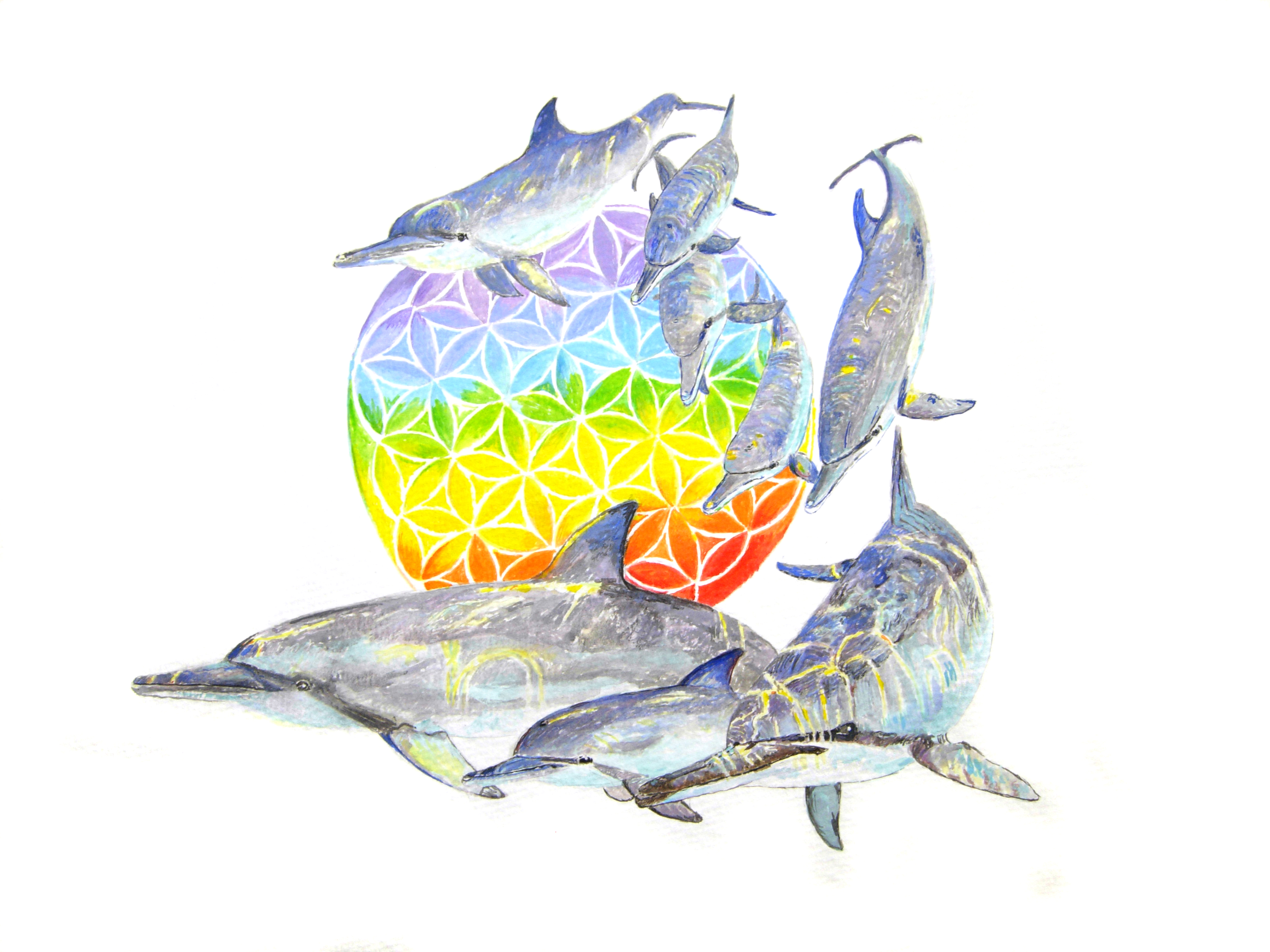 Dolphins and flower of life (2)