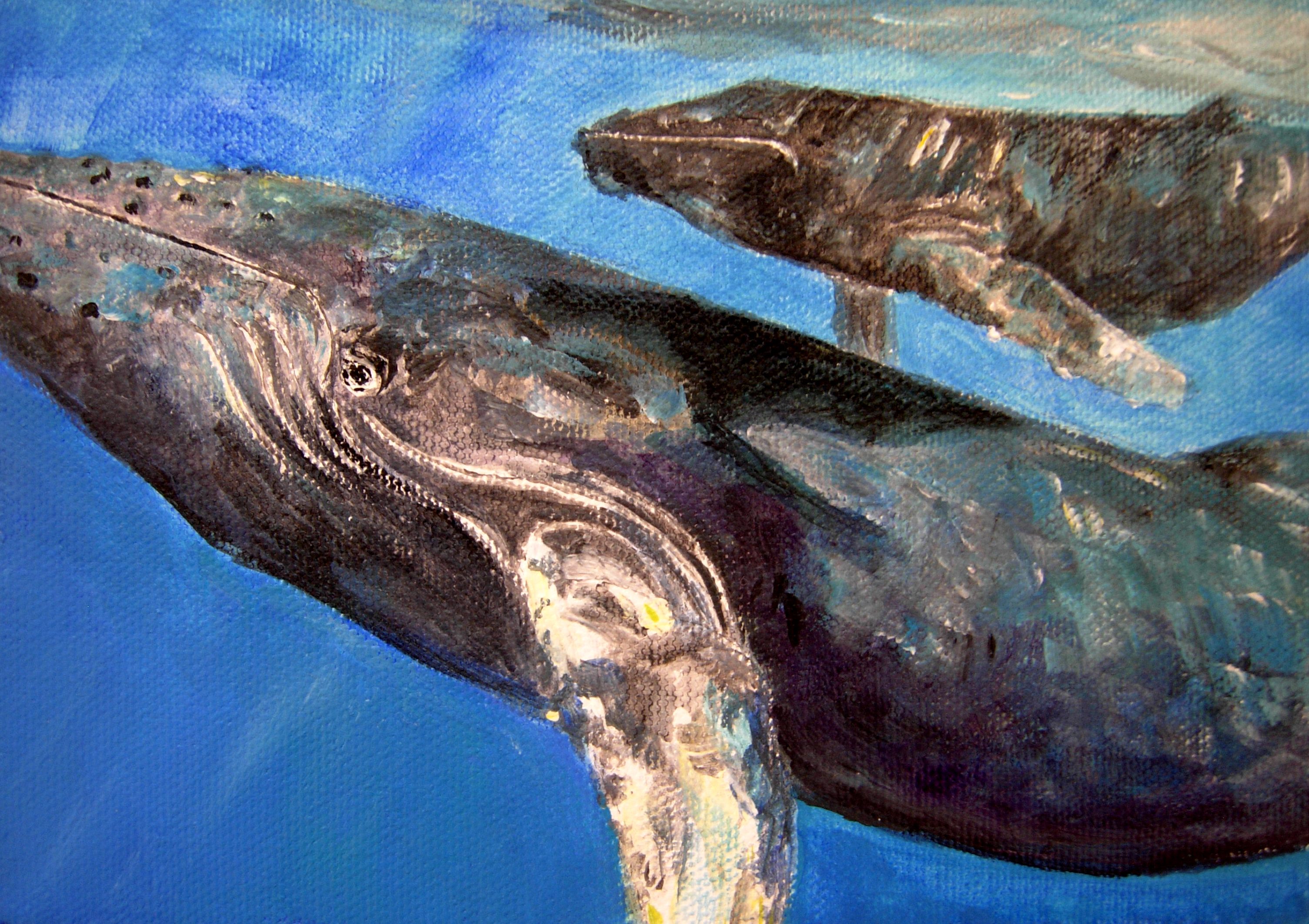 Mom and baby humpback whale