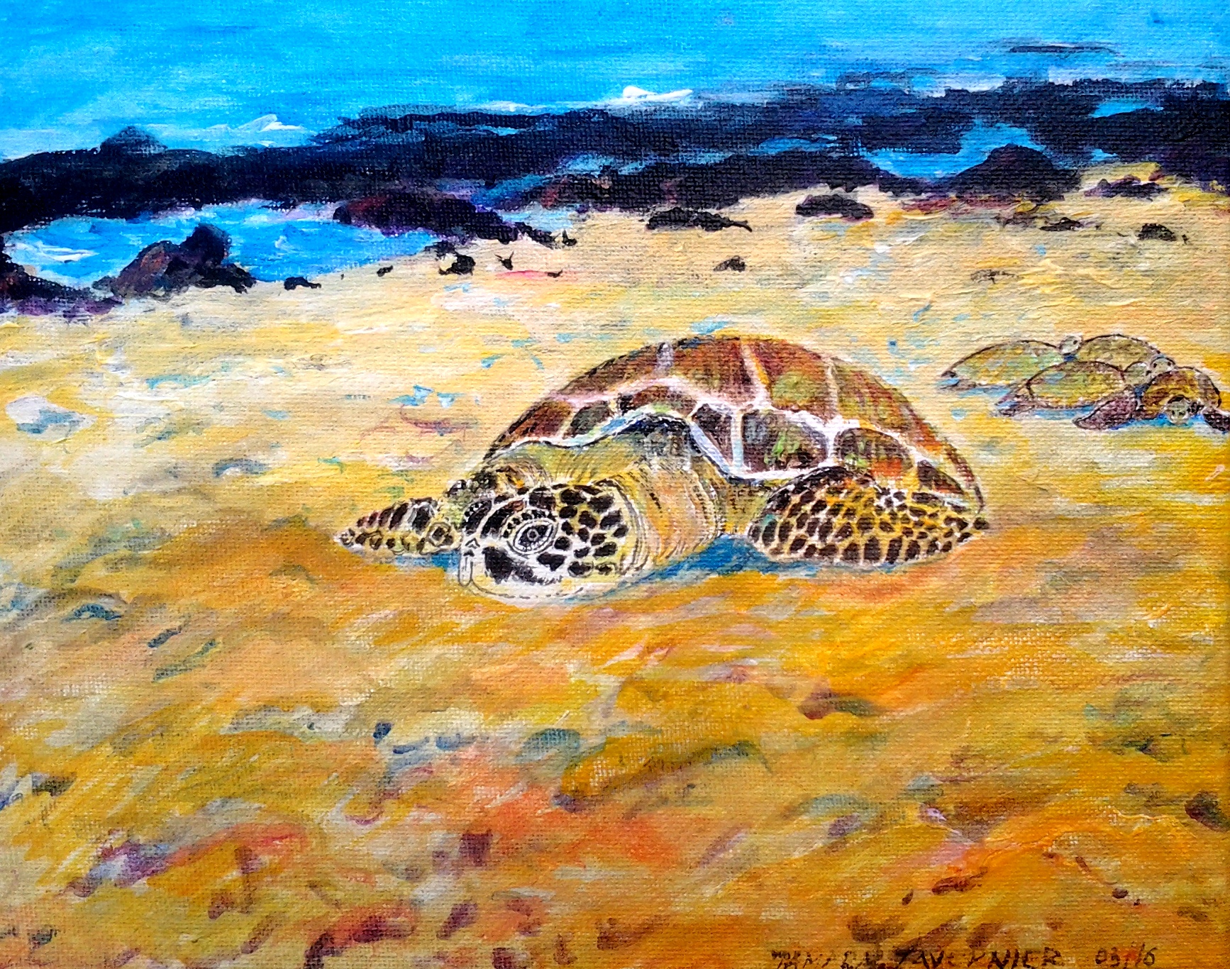 sleeping turtle