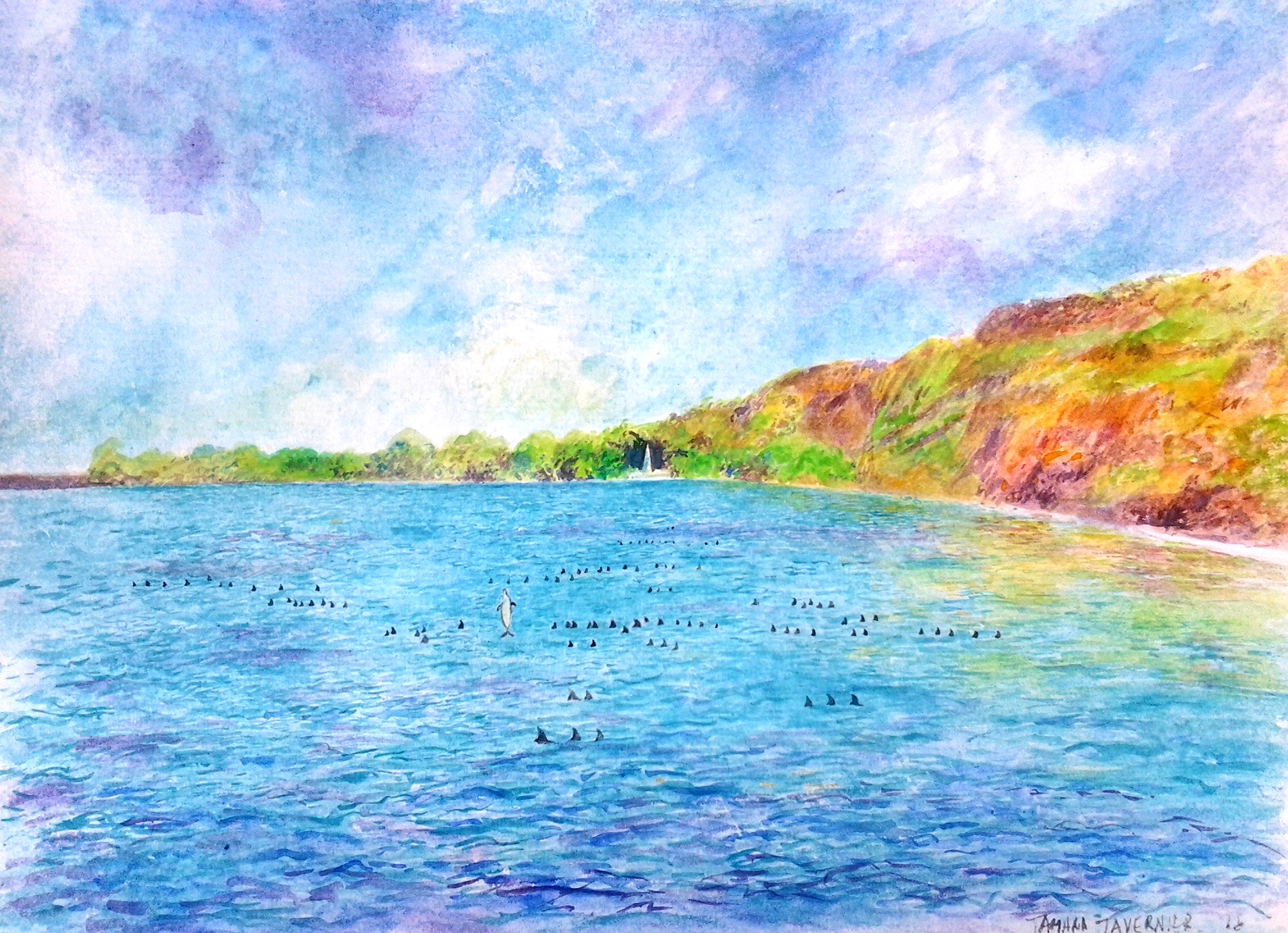Kealakekua bay
