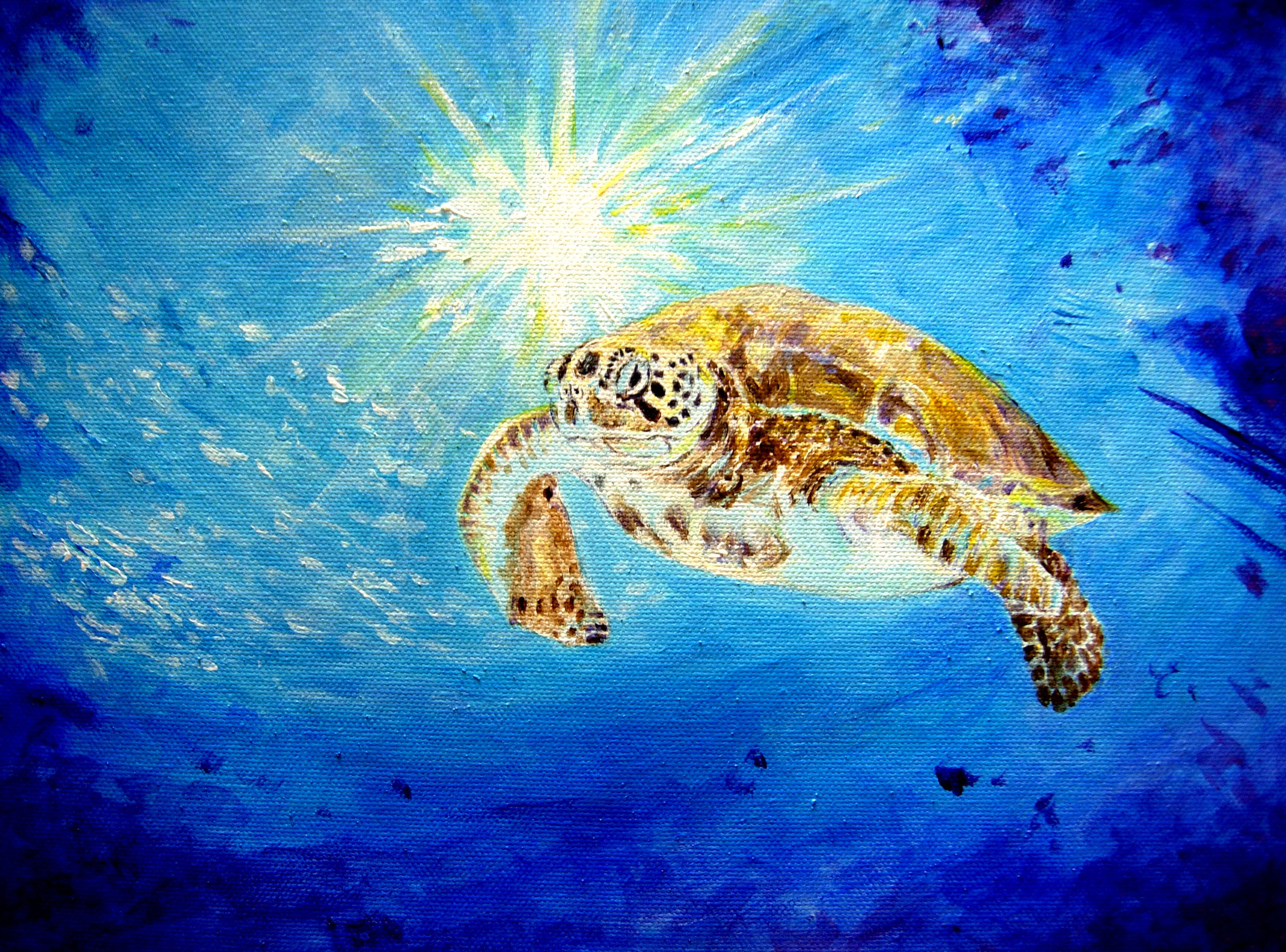 turtle and the light