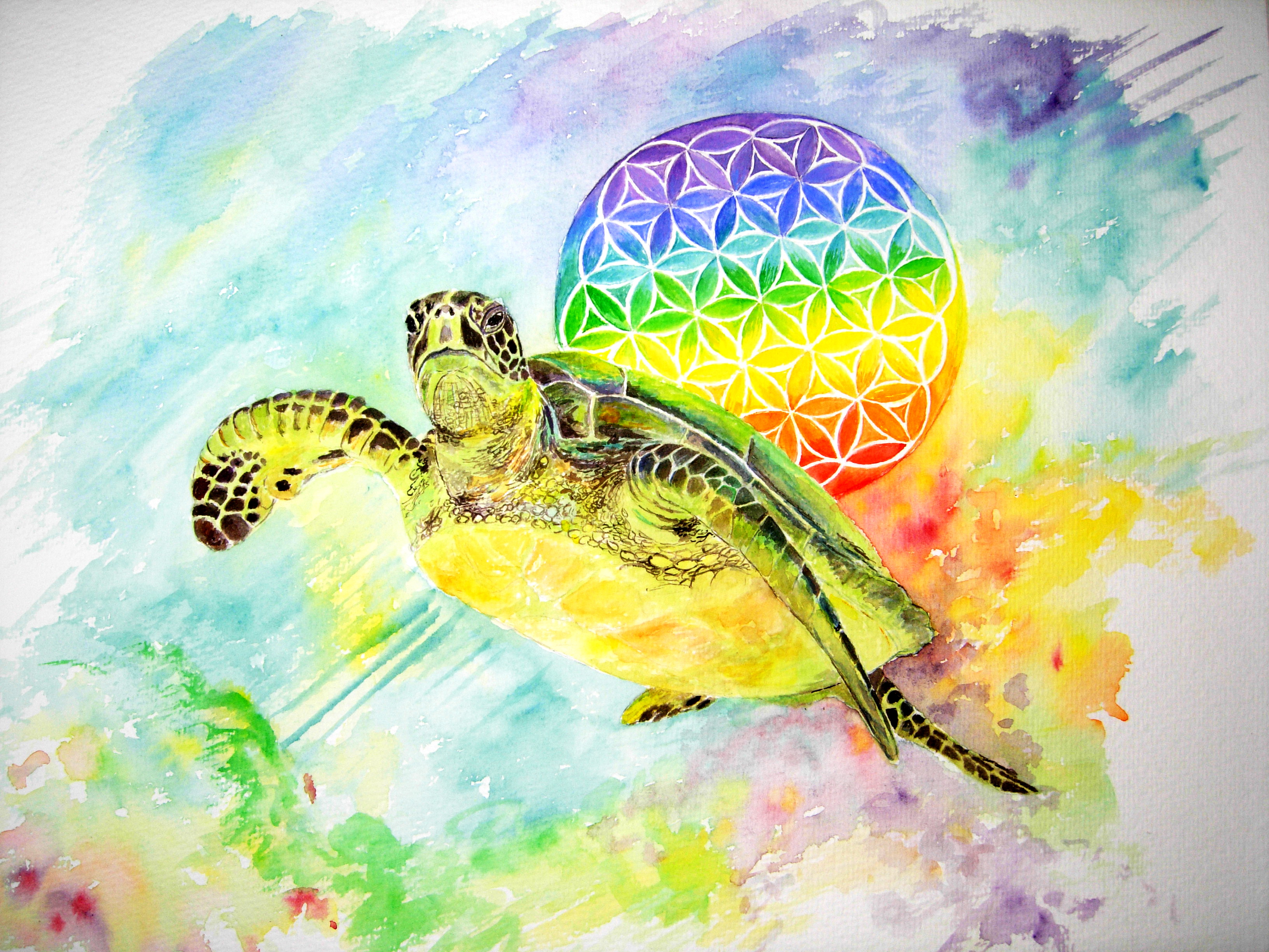 Flower of life and honu